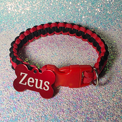 Red and black braided dog collar with a red tag on a glittery blue background